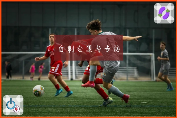 自制合集与专访