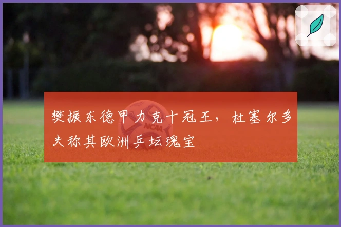 樊振东德甲力克十冠王，杜塞尔多夫称其欧洲乒坛瑰宝