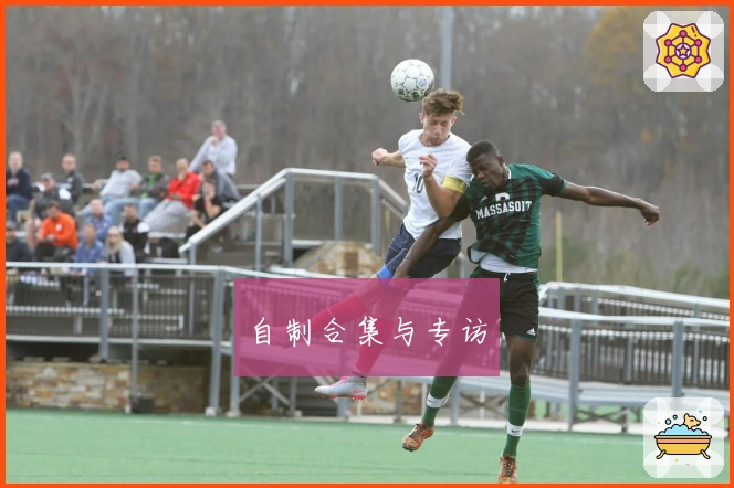 自制合集与专访